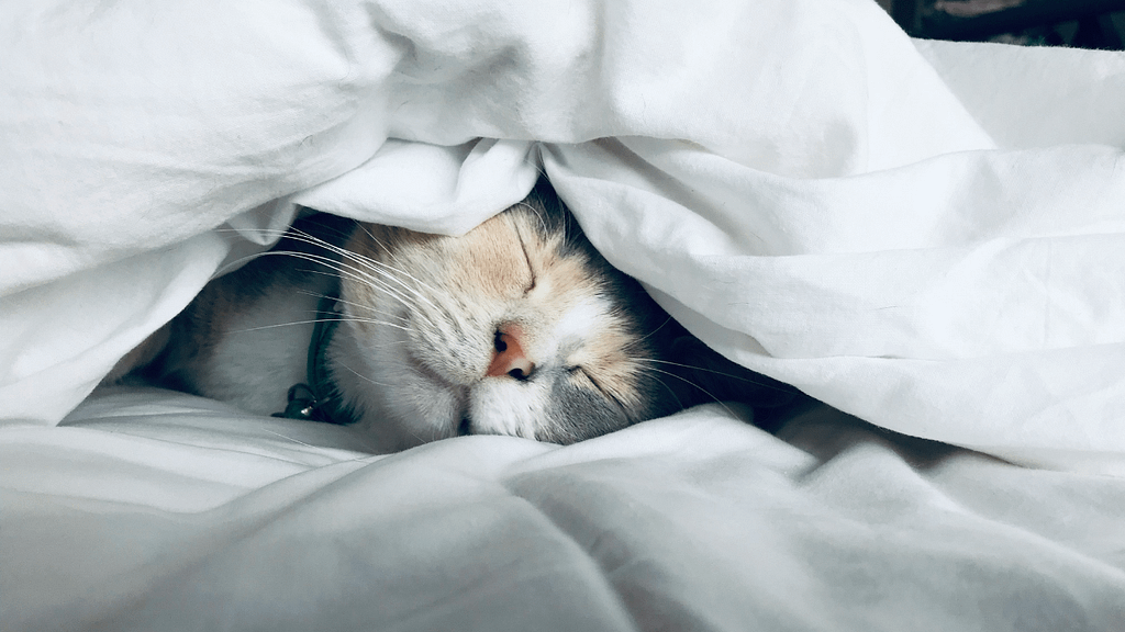 夜の不安で眠れない時の対処法